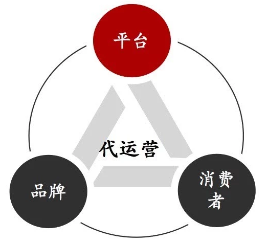 電商代運(yùn)營 電商代運(yùn)營